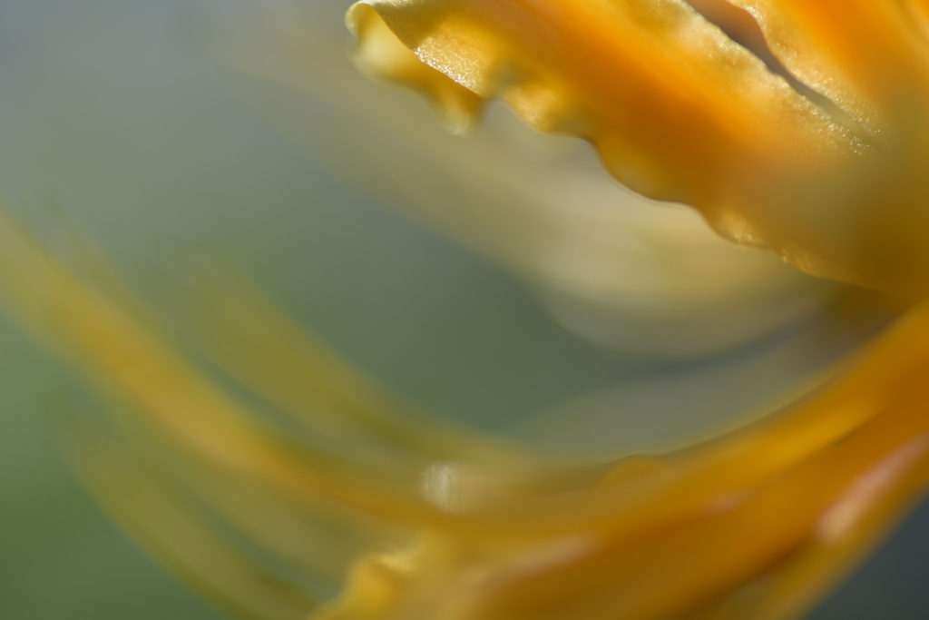 芸術の秋