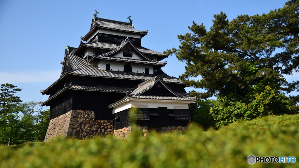 思い出の地 松江城