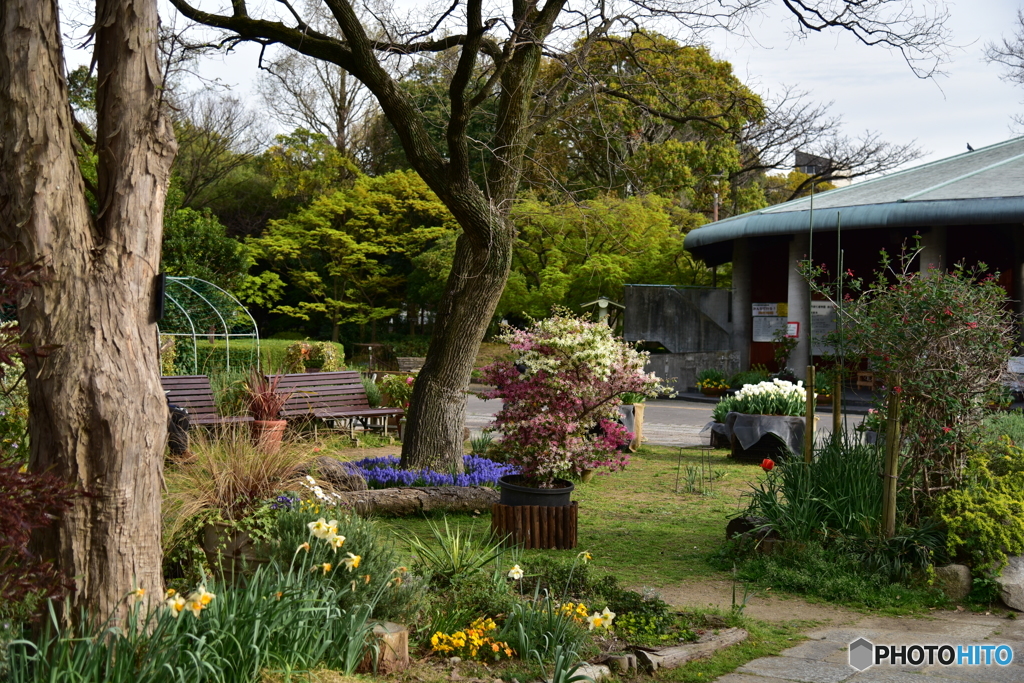 いつもの公園