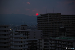 真っ赤に燃えた太陽だから･･･