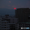 真っ赤に燃えた太陽だから･･･
