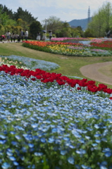 お花畑