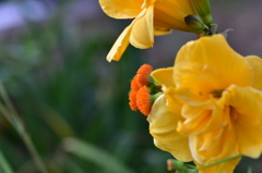 ちょっとのぞいてみた