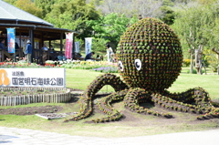 明石海峡名物 たこ