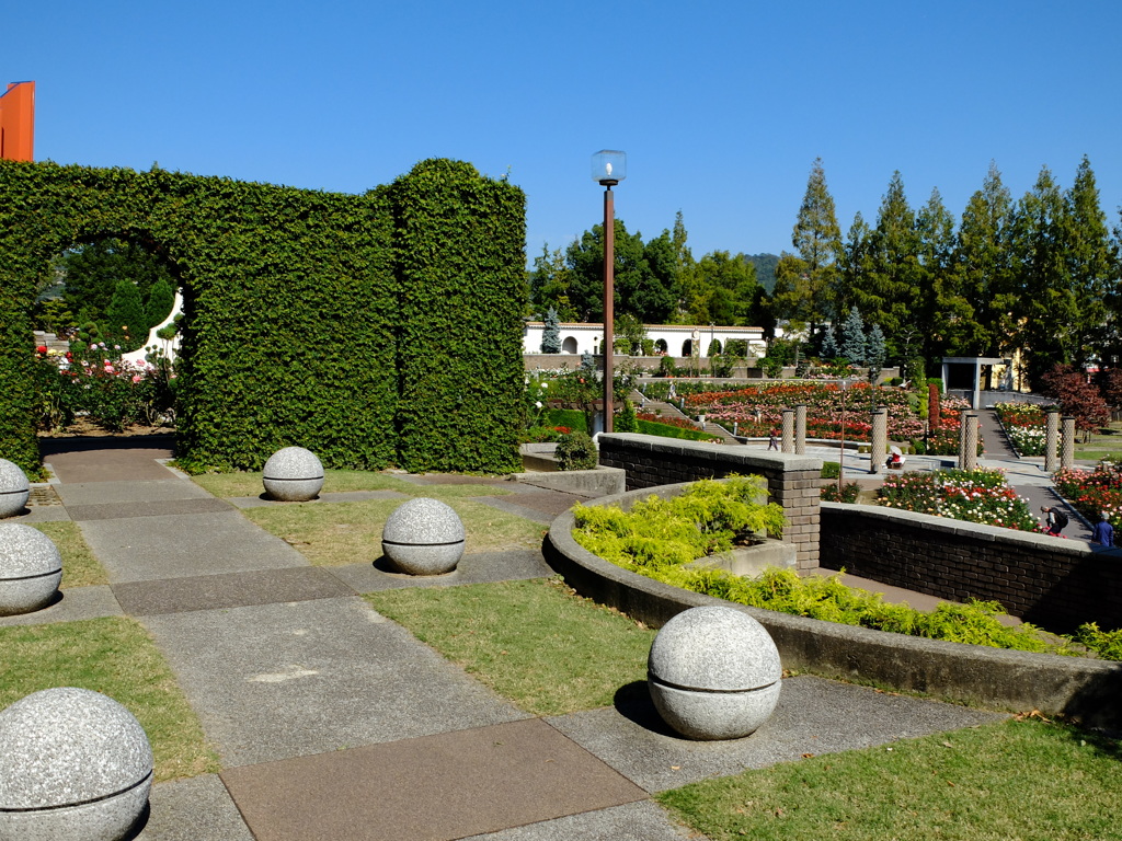 秋薔薇・荒牧バラ公園