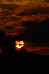 夕日