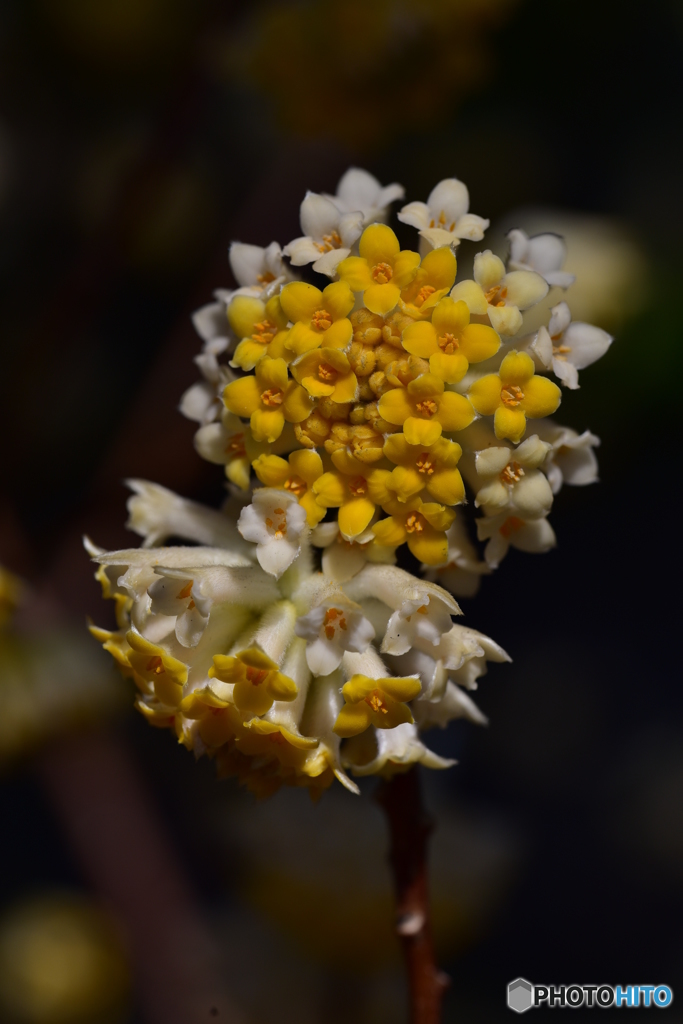 永遠の愛を皆様に