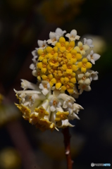 永遠の愛を皆様に
