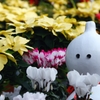 花に囲まれ幸せ