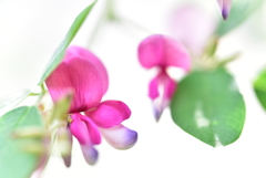芸術の秋