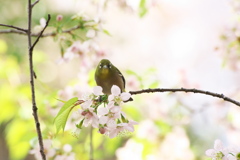 見つめ合った瞬間