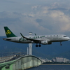 関空から