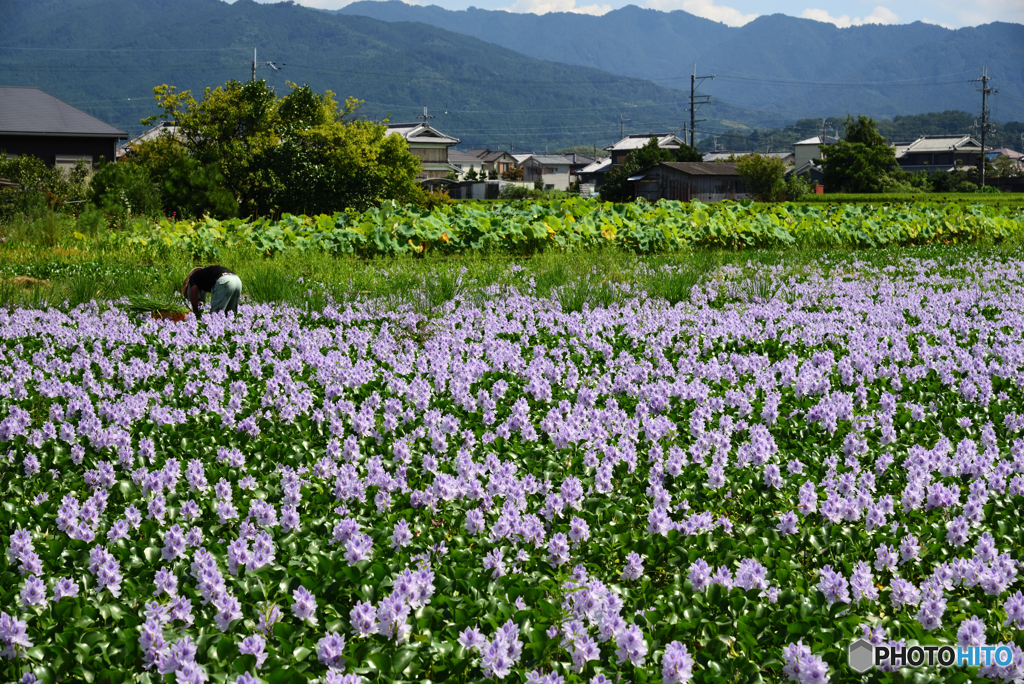 ご苦労様