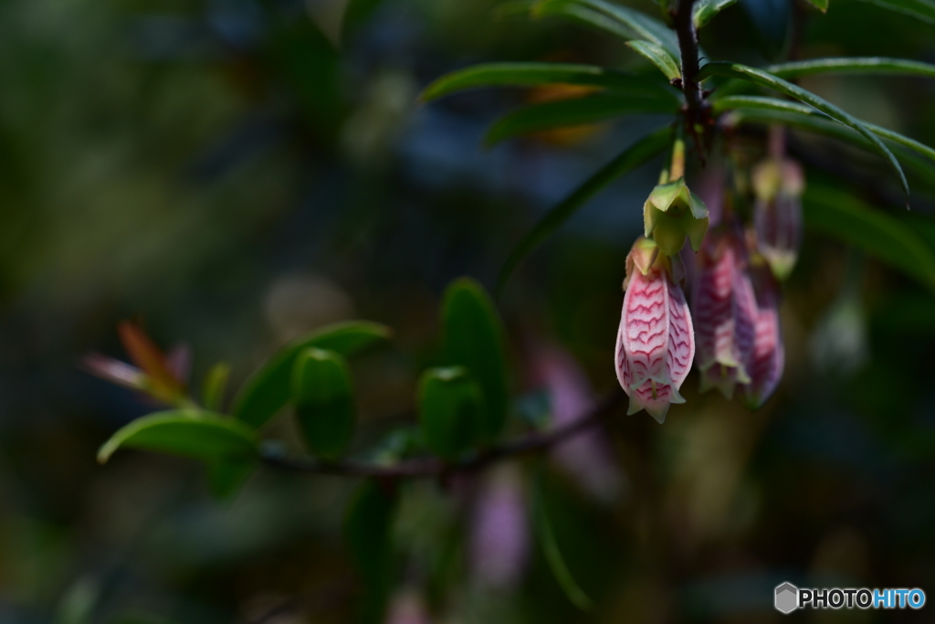 なが～く愛して