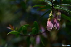 なが～く愛して