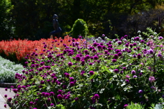 花のある風景