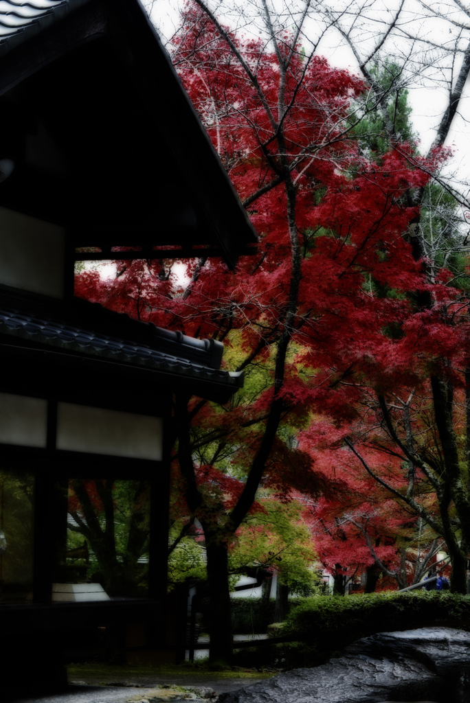 少しの紅葉
