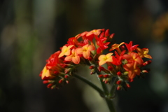 たくさんの小さな思い出