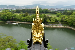 金の鯱(岡山城)