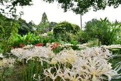 上坂部西公園