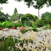 上坂部西公園