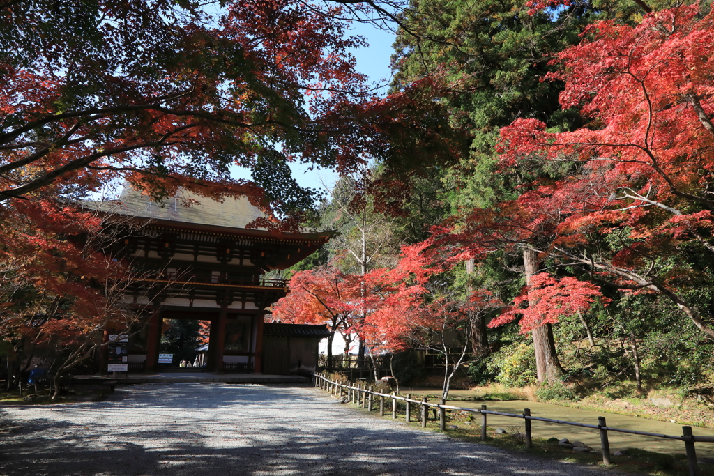 秋深し　室生寺