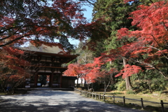 秋深し　室生寺