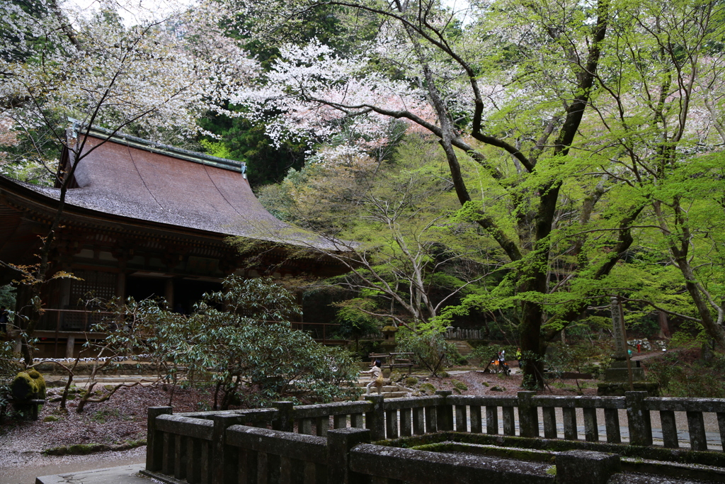 室生寺　幽邃