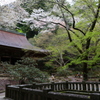 室生寺　幽邃