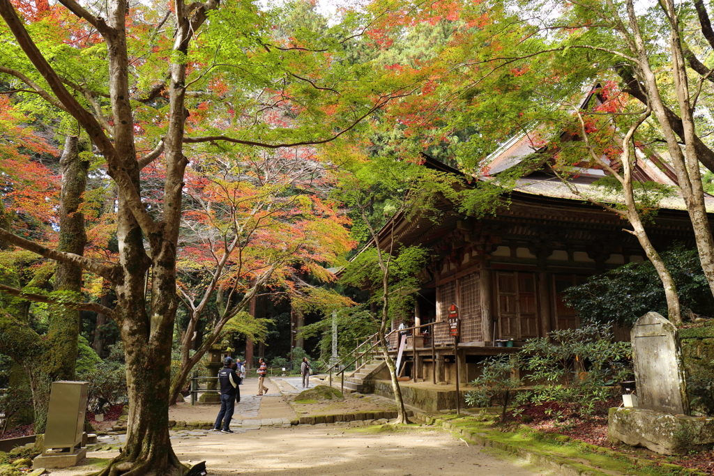 秋麗 室生寺