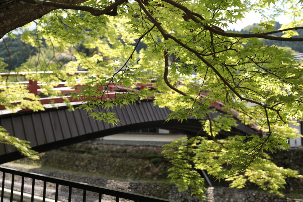 室生寺へ