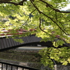 室生寺へ