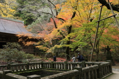 錦色の室生寺