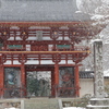 雪の室生寺　続き