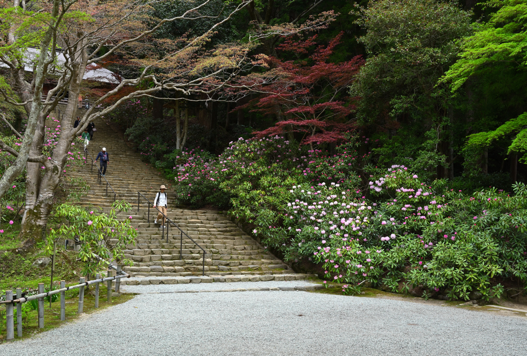 春めく室生寺