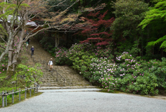 春めく室生寺
