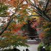 秋づく談山神社