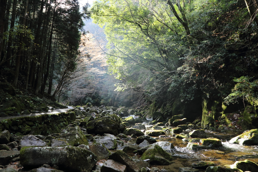 赤目四十八滝 雨上がり