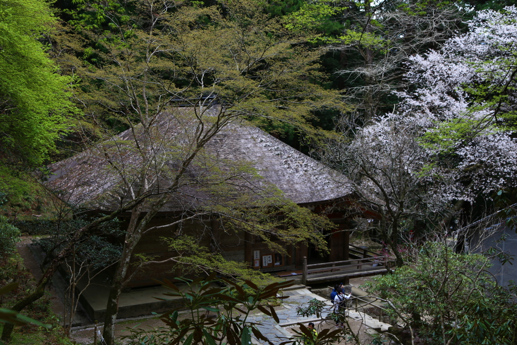 室生寺　幽邃