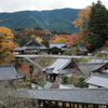 錦秋・長谷寺