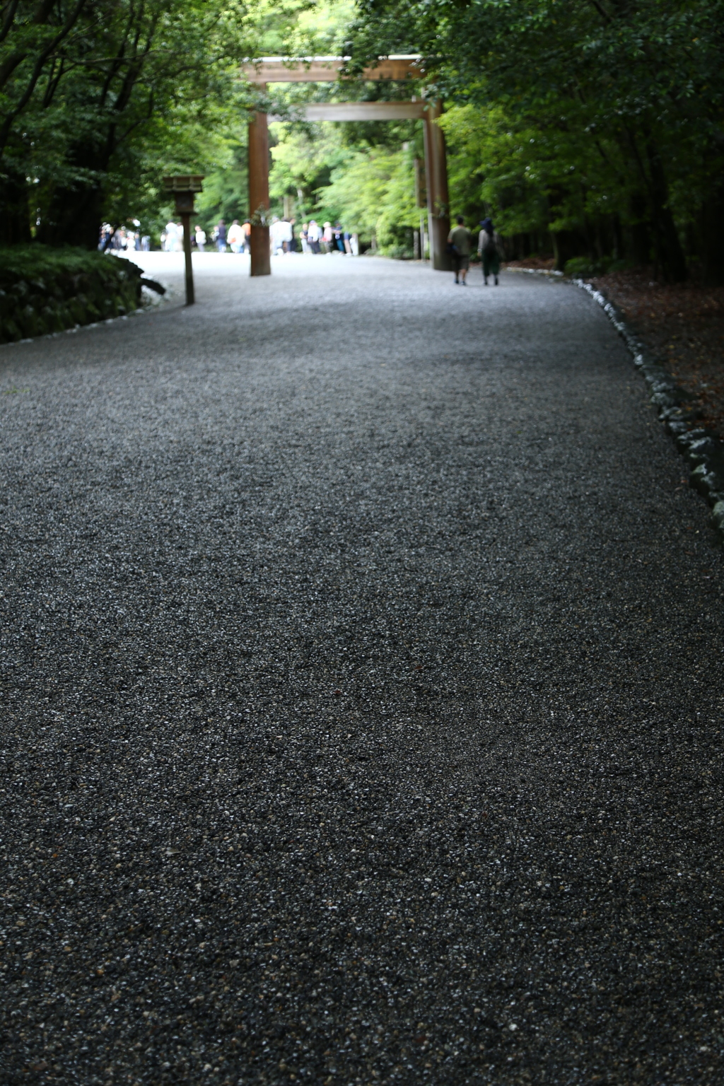 伊勢神宮　内宮「雨上がりの参道」