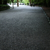 伊勢神宮　内宮「雨上がりの参道」