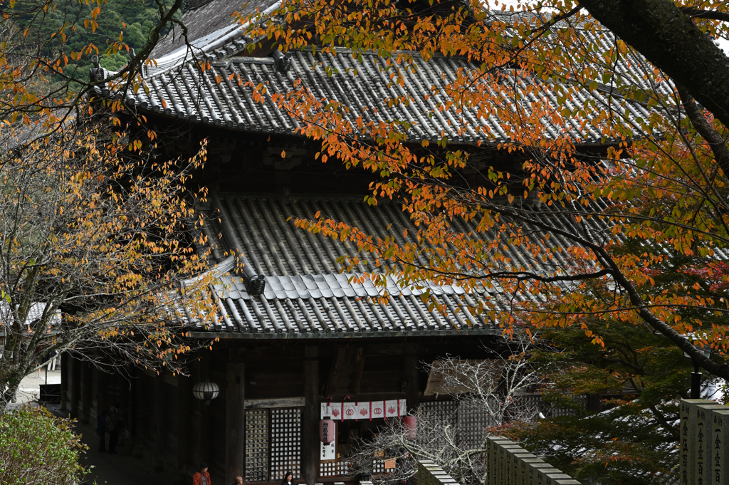 長谷寺　秋景色