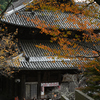 長谷寺　秋景色