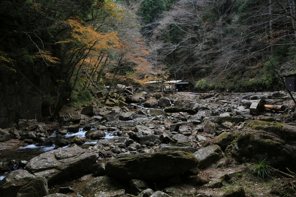 秋惜しむ　赤目四十八滝
