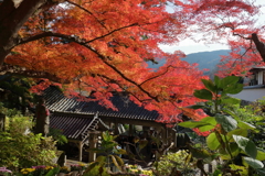 錦の山寺