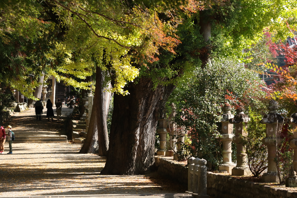 秋思　積田神社