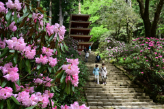 春めく室生寺