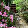 春めく室生寺