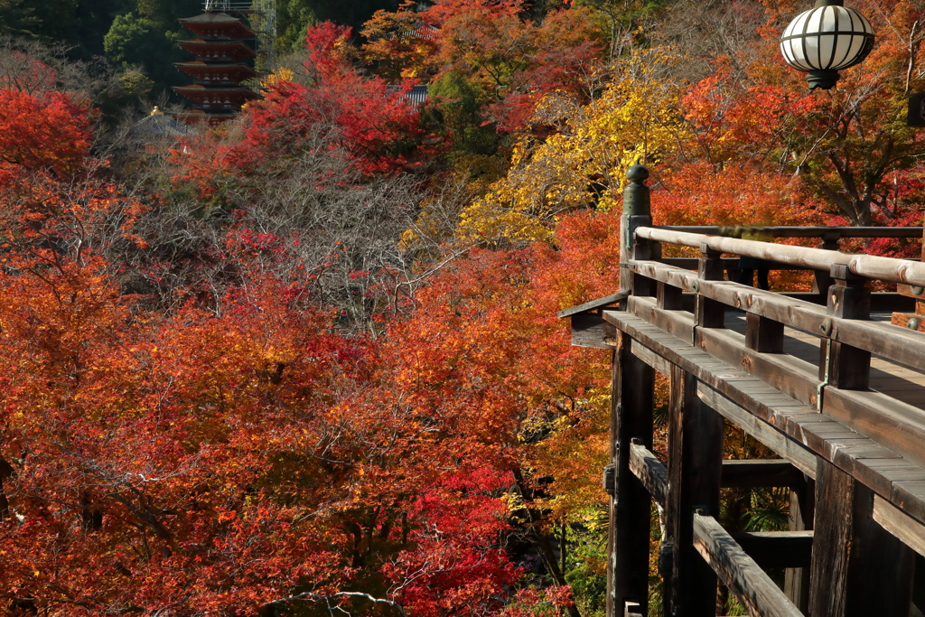 錦の山寺